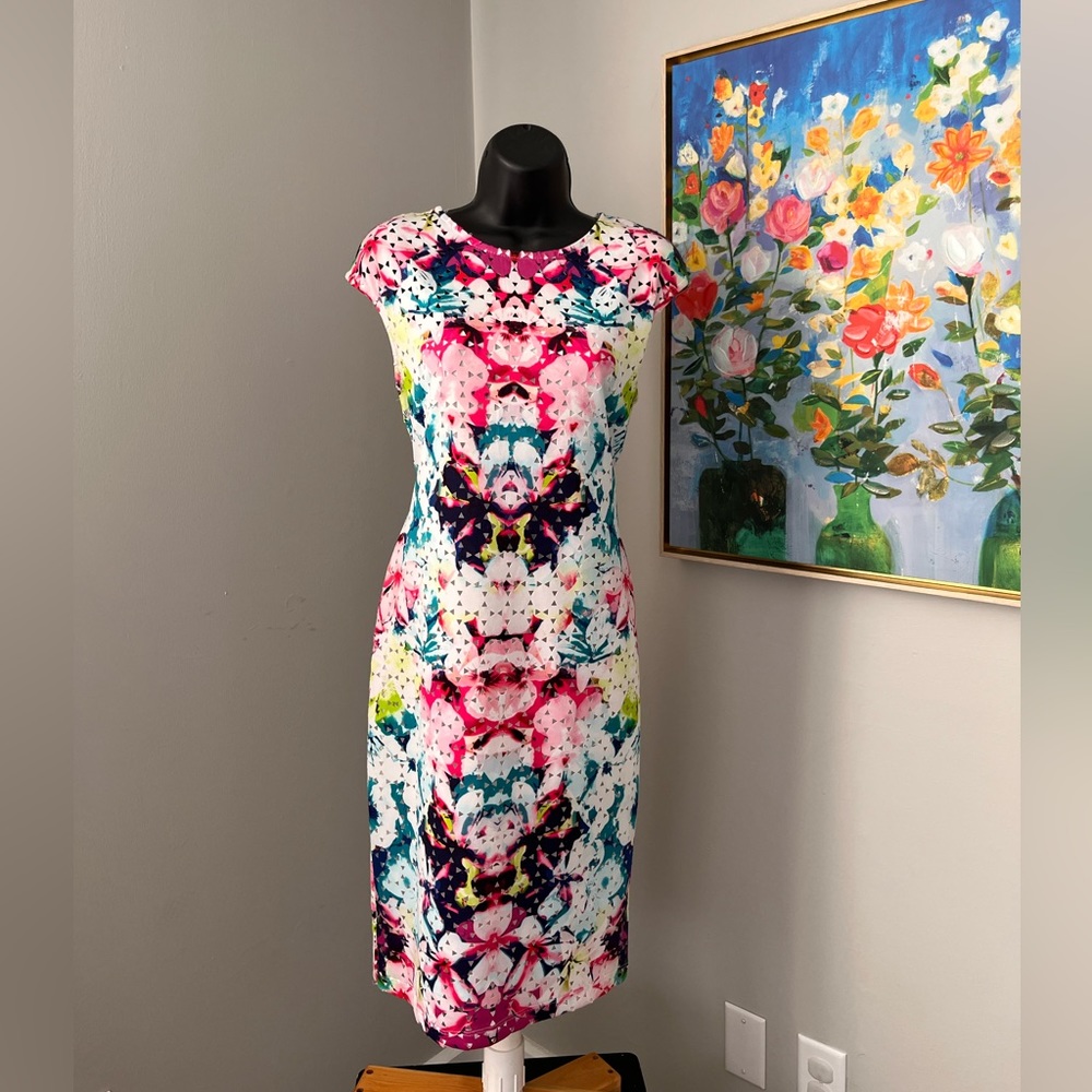 Stunning Colorful Spring and Summer Bisou Bisou Dress size 12